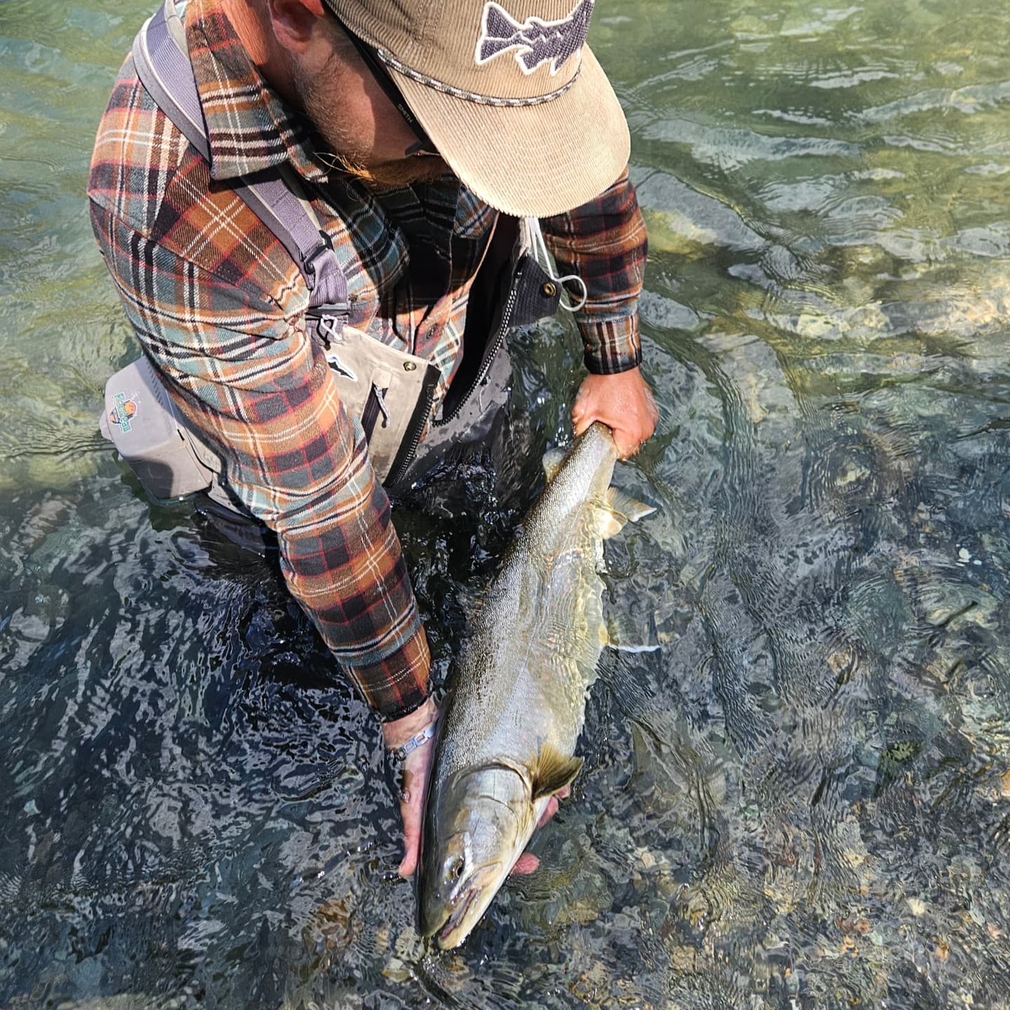 Pitt River Lodge Bull Trout