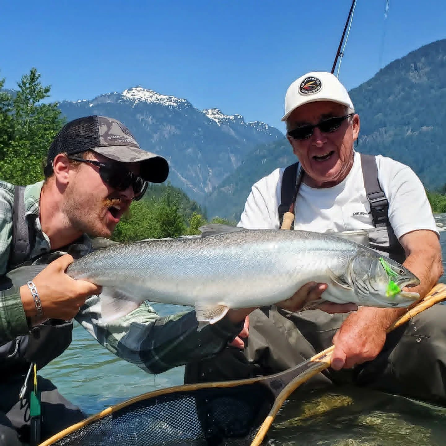 Large Pitt River Bull Trout